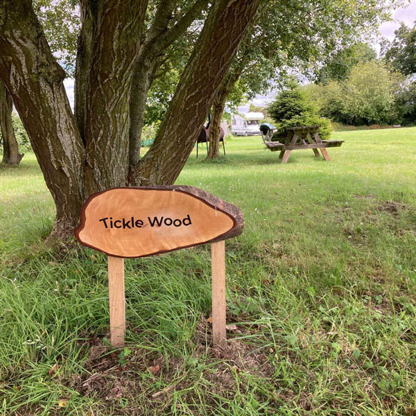 Tickle Wood